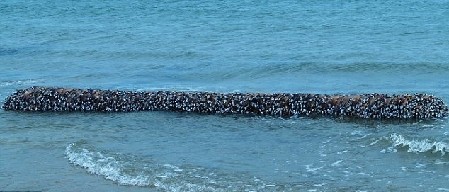 冰島百年水怪今日終現身？盤點幽藍世界詭異“怪獸”