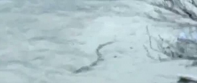 冰島水怪竟是破漁網(wǎng)？ 網(wǎng)友連喊“被忽悠”！