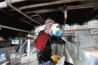 中醫(yī)藥管理局局長:堅決反對熊膽保健化 正研發(fā)替代品