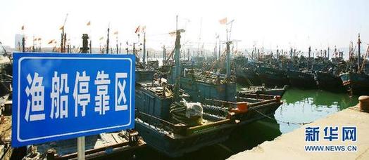 我國東海區5萬多艘漁船今日起全面休漁