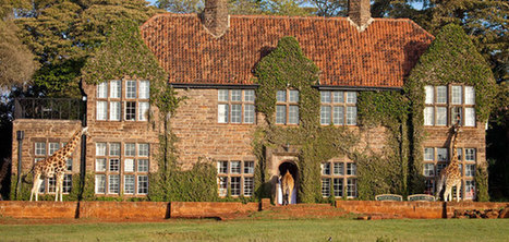 肯尼亞長(zhǎng)頸鹿主題酒店萌翻天 游客可與其同吃同住