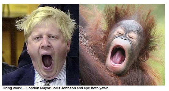 網上熱傳倫敦市長遭惡搞照片 上天入地無處不在