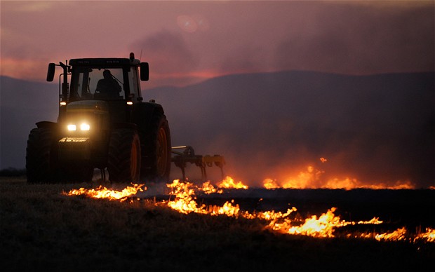 法國農(nóng)場發(fā)生桃色血案 嫌犯操作收割機(jī)砸死情敵