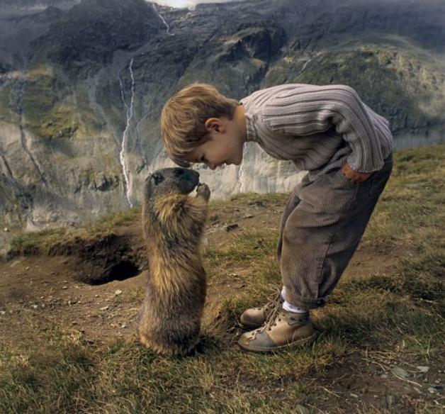 圖：奧八歲男童與土撥鼠友誼深厚 嬉戲場景溫馨感人