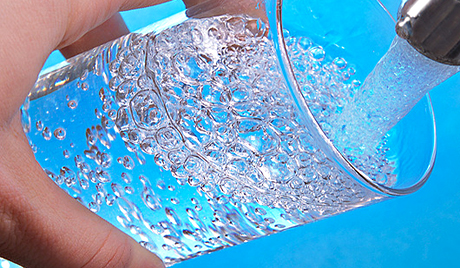 瑞典專家大膽預言：2050年前世人皆素食方可生存