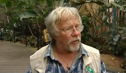 鳥類各種叫聲啥意思？英國鳥類專家微博開講