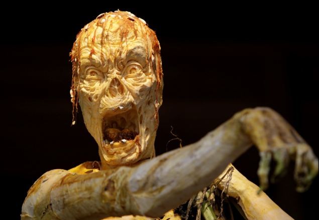 萬(wàn)圣節(jié)臨近鬼味漸濃 紐約植物園“南瓜僵尸”破土而出