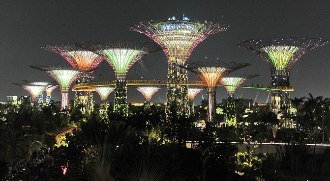 迎娶圣誕樹、逛3D街道寄賀卡 另類妙招玩轉“新鮮圣誕節”