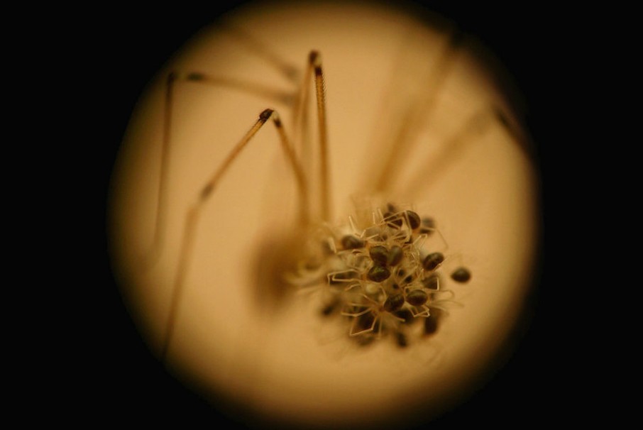 2012國家地理攝影大賽入圍佳作