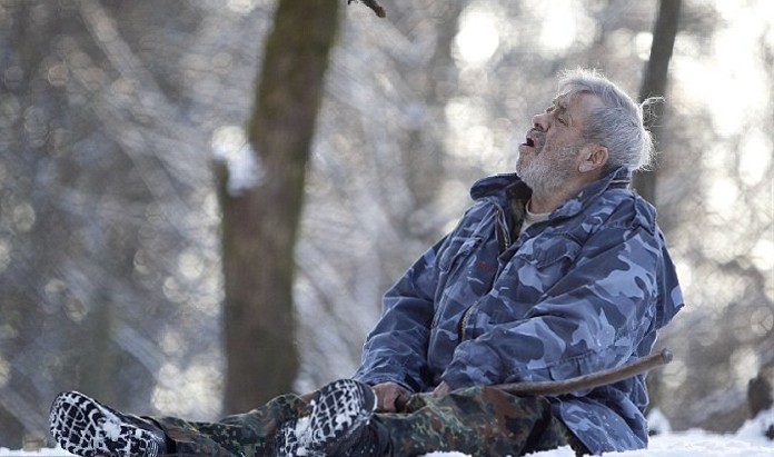 德國79歲男子“與狼共食” 化身頭狼統領29只猛獸