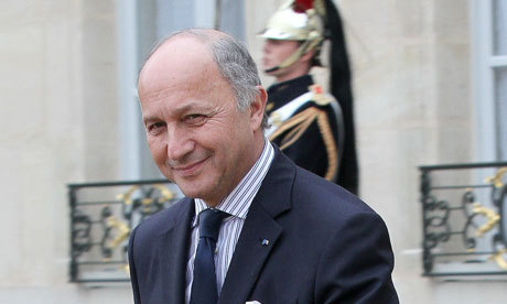 法軍清剿數百名馬里極端分子 擬3月開始撤軍