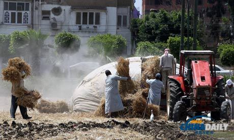 經濟學家：埃及正經歷80多年來最嚴重經濟危機