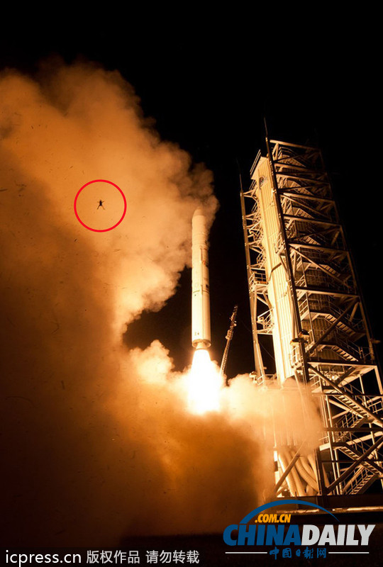 美國火箭發射氣流將青蛙吹上天