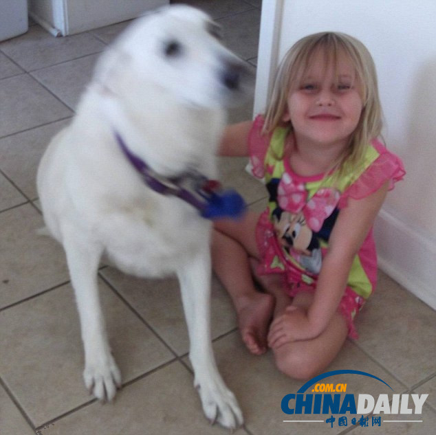 美殘障女孩攜服務犬上學遭拒絕