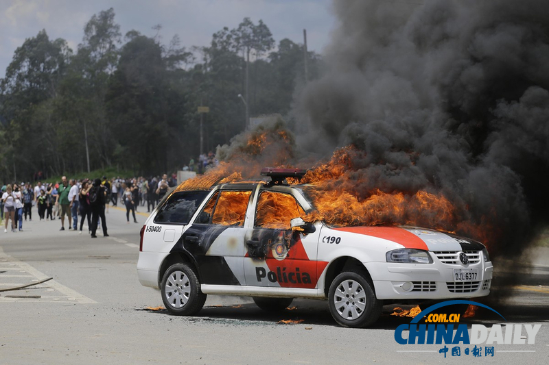 巴西民眾釋放被用于實驗狗狗 與防暴警察發生強烈沖突