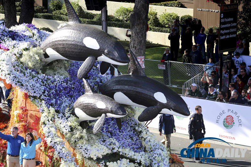 美國(guó)加州舉行玫瑰花車(chē)大巡游 “夢(mèng)想成真”創(chuàng)意無(wú)窮