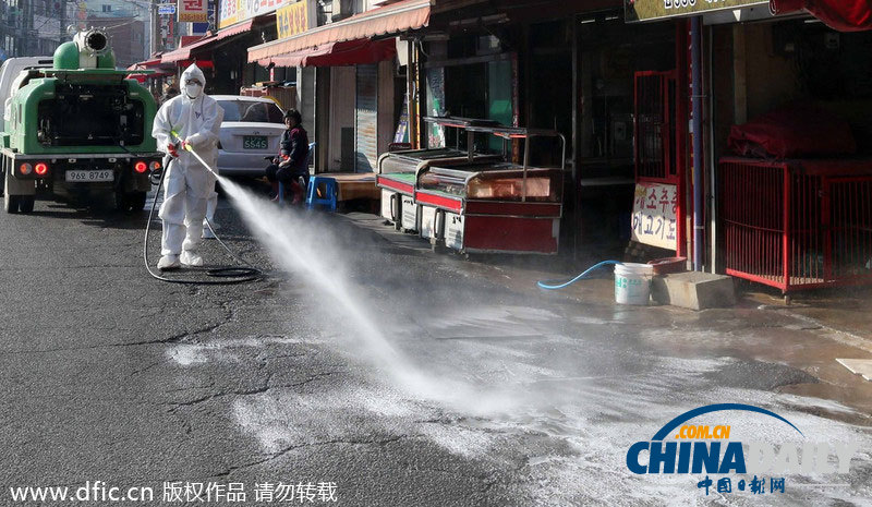 韓國官兵赴禽流感疫區開展宰殺工作