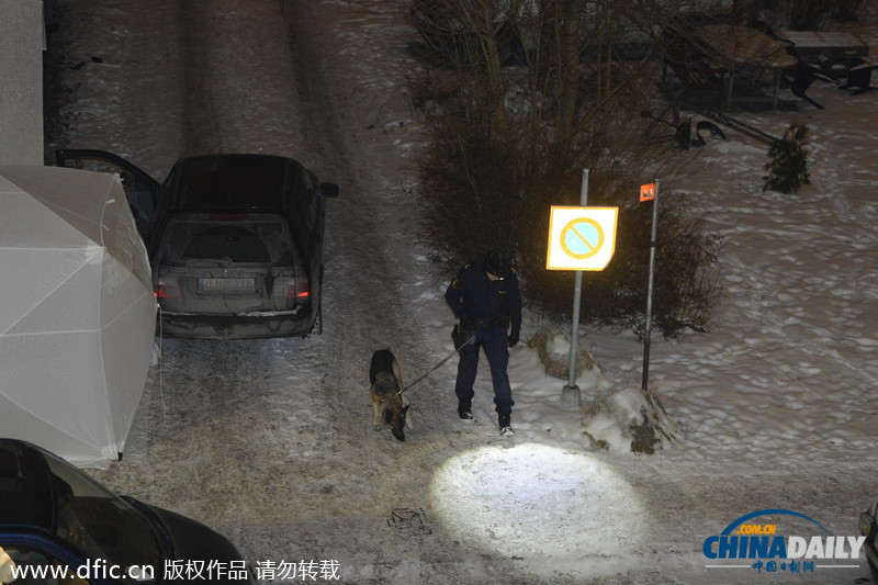 瑞典黑幫頭子家門口被槍殺 曾卷入瑞典國王性丑聞