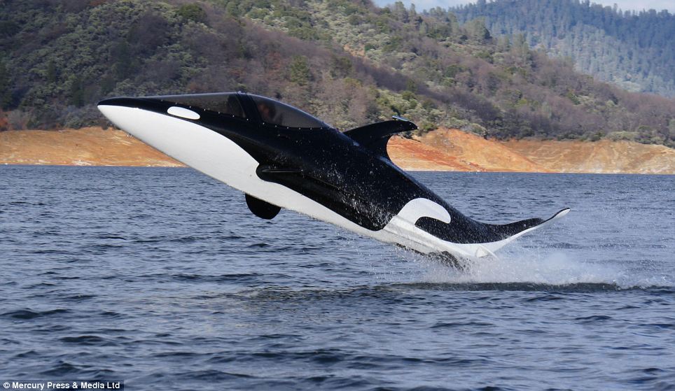 體驗躍出水面快感！美商家用戰機改裝“機械鯊魚”