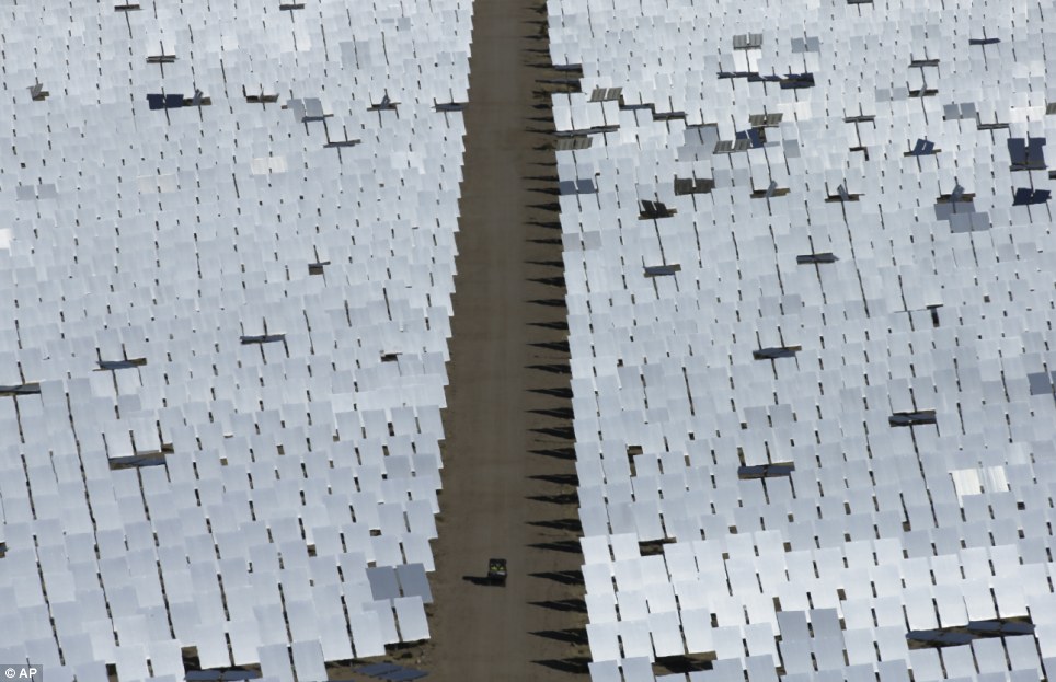 世界最大太陽能發電廠挨批 飛鳥誤闖后羽毛被烤焦