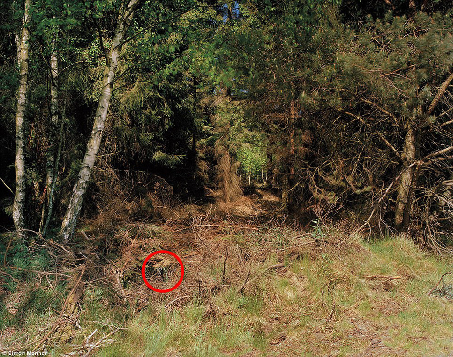 德國軍隊狙擊手藏身術:與自然融為一體