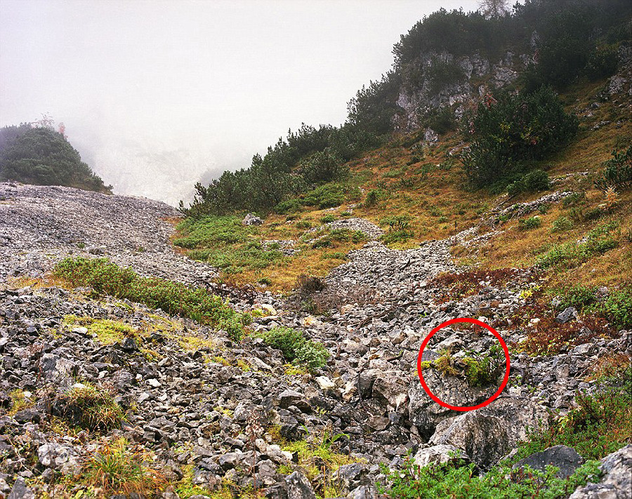 德國軍隊(duì)狙擊手藏身術(shù)：與自然融為一體