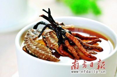 蟲草價格已是黃金兩倍 專家稱營養價值等于蘑菇