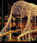 Mardi Gras（四旬齋前的狂歡節）