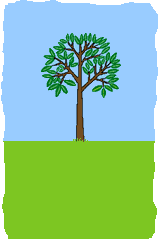 植樹(shù)節(jié)