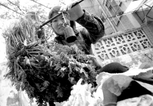 清華女碩士失業后擺攤賣菜