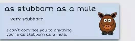 萌你一臉的生活常用諺語！