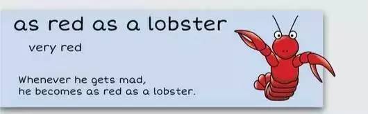 萌你一臉的生活常用諺語！