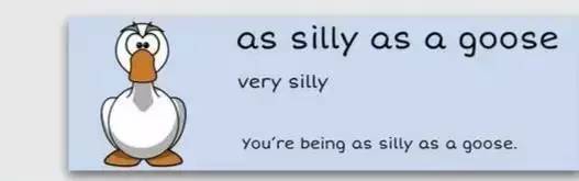 萌你一臉的生活常用諺語！