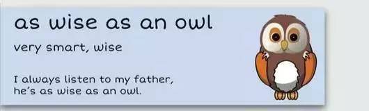 萌你一臉的生活常用諺語！