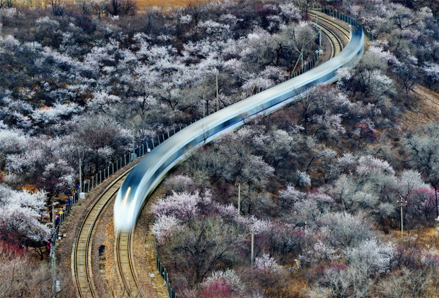 如詩(shī)如畫(huà)：“美麗中國(guó)·夢(mèng)想中國(guó)”攝影大賽優(yōu)秀作品欣賞（組圖）