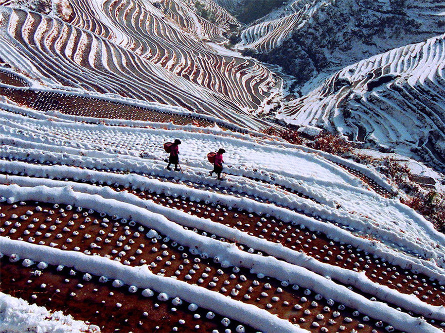 如詩如畫：“美麗中國·夢想中國”攝影大賽優秀作品欣賞（組圖）