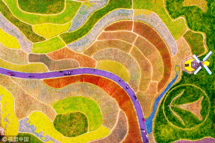 踏青季：春天盛開的9種鮮花 哪一種最美？（組圖）