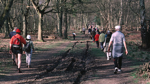 Walking tall 漫步英國鄉間