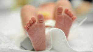 The three-parent kid 有三個父母的孩子