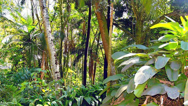 Loss of biodiversity affects human society 生物多樣性減少給人類社會(huì)帶來影響