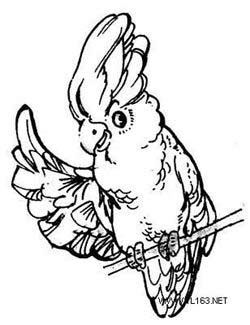 80后集體失戀：HanMeimei結婚了 新郎不是LiLei