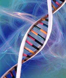 當代十大發明評選結果出爐