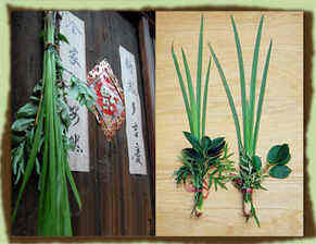 盤點端午節(jié)習(xí)俗