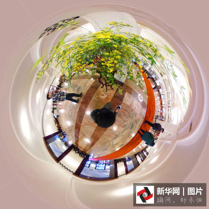 360度全景看大會(huì)堂里春花開(kāi)