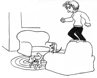 老鼠、鼠夾和我