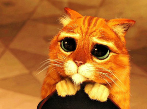 “賣(mài)萌”英文怎么說(shuō)？