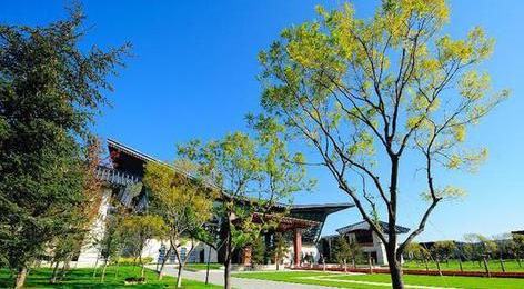 雙語(yǔ)盤(pán)點(diǎn)習(xí)大大帶火的那些熱詞