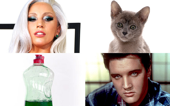 15元起個英文名,你愿意嗎？