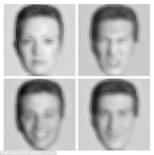 你看到愛因斯坦還是夢露?