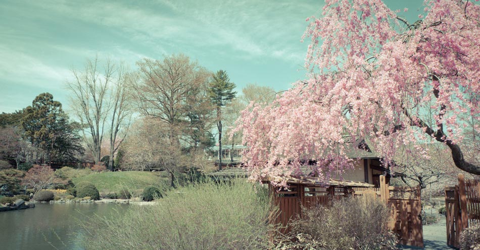 繽紛、靈動、斑斕：世界上最美的18座花園